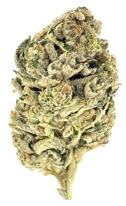 LA Pop Rocks