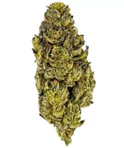 Permenent Zskittles (Ounce)