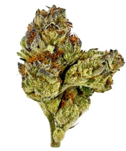 Gelato Octane (Ounce)