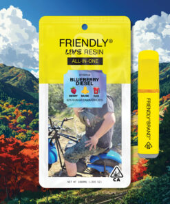Blueberry Diesel - 1G Live Resin Disposable Vape | Friendly