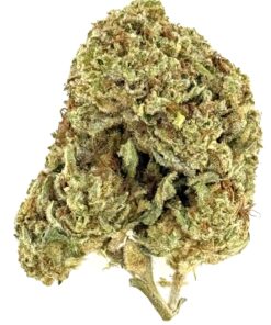 Purple Haze