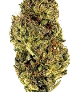 Mule Fuel