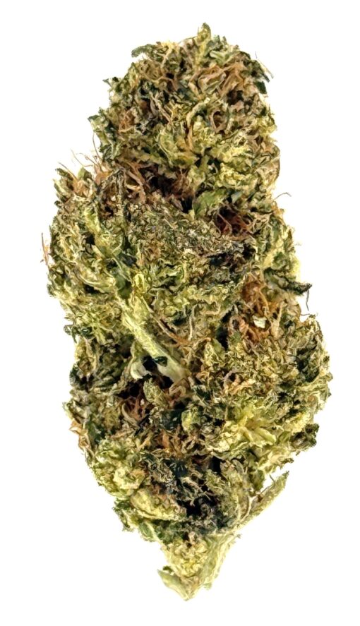 Mule Fuel