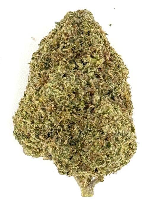 Gumbo (Ounce) 1 Close-up of a cannabis bud showcasing natural texture and color variations.