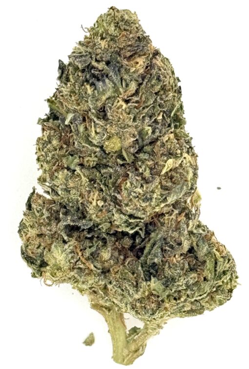 Gas Back (Ounce)