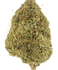Close-up of a cannabis bud showcasing natural texture and color variations.