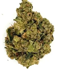 Close-up of a cannabis bud with visible trichomes, rich in texture and color, isolated on a white background.