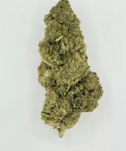 GT Runtz (Ounce)
