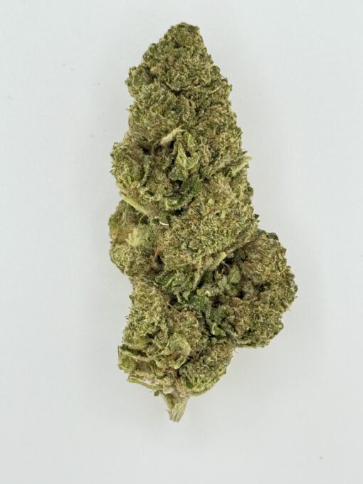 GT Runtz (Ounce)