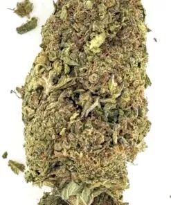 Tangerine Kush