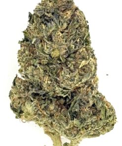 Gas Back