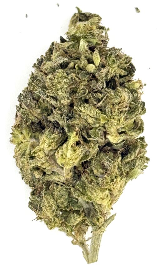 LA Push Pops (Ounce)