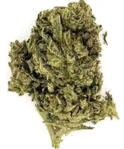 Black Runtz (Ounce)
