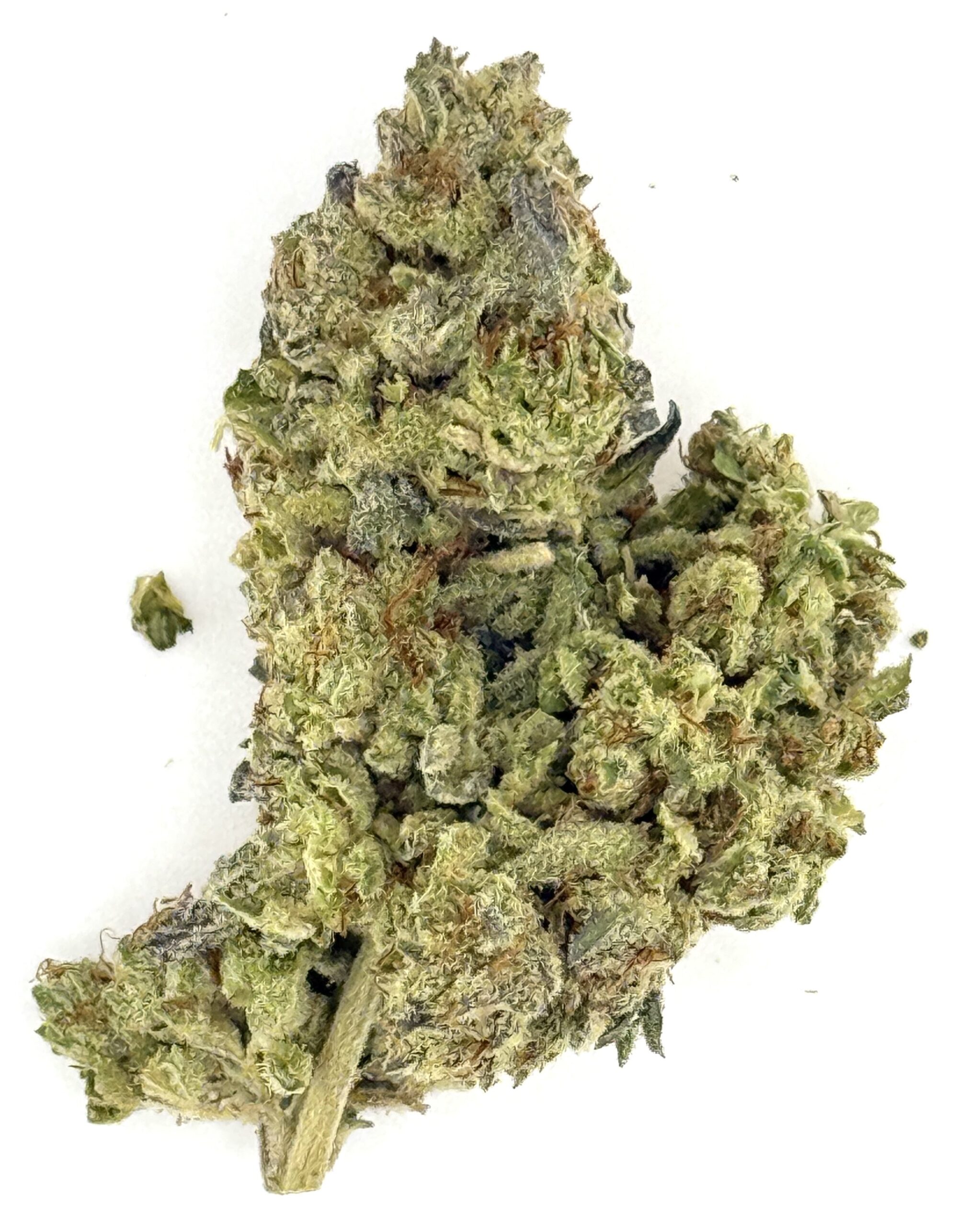 Lemon Poppers 1 Lemon Poppers