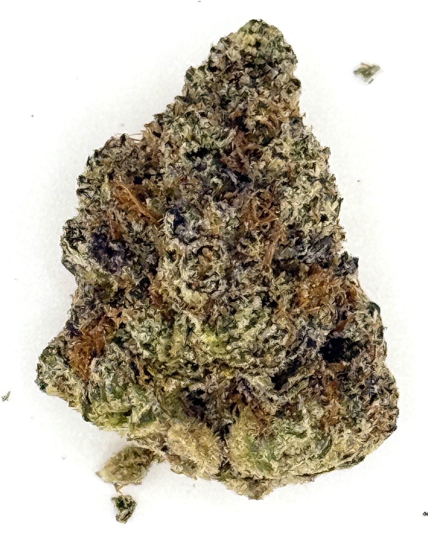 Candy Rain (Ounce) 1 Close-up of a cannabis bud showing detailed texture and natural colors on a white background.