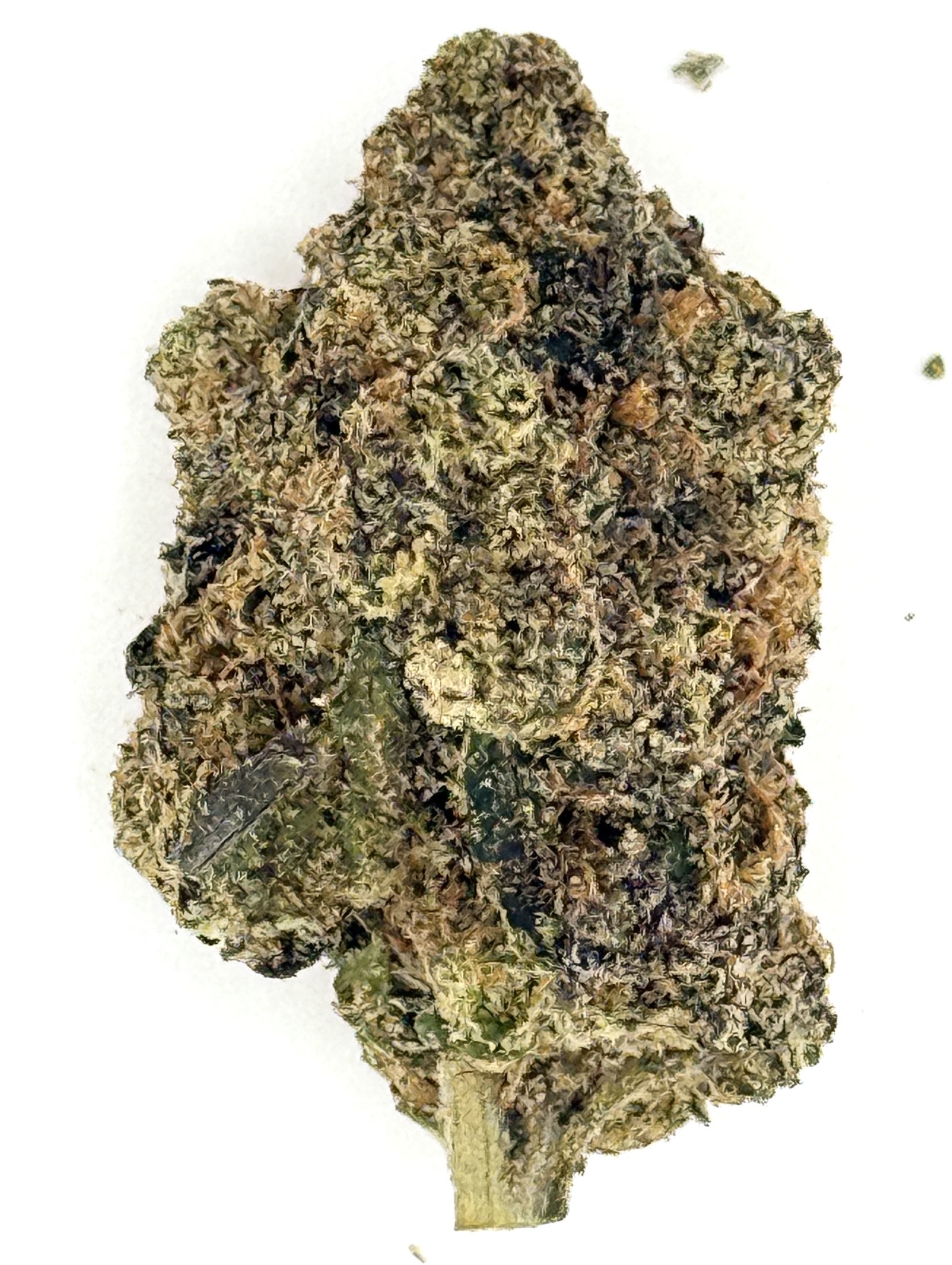 Pink Mochi (Ounce) 1 Close-up of a dense cannabis bud with frosty trichomes and a mix of green and orange hues on a white background.