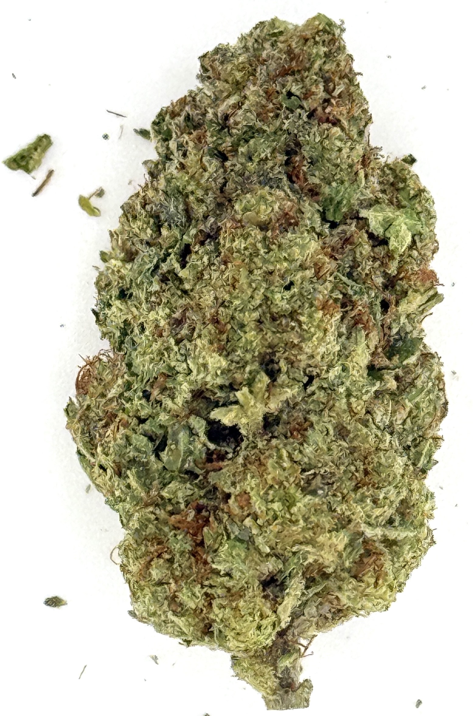 Close-up of a cannabis bud isolated on white background, showcasing its green and brown textures.