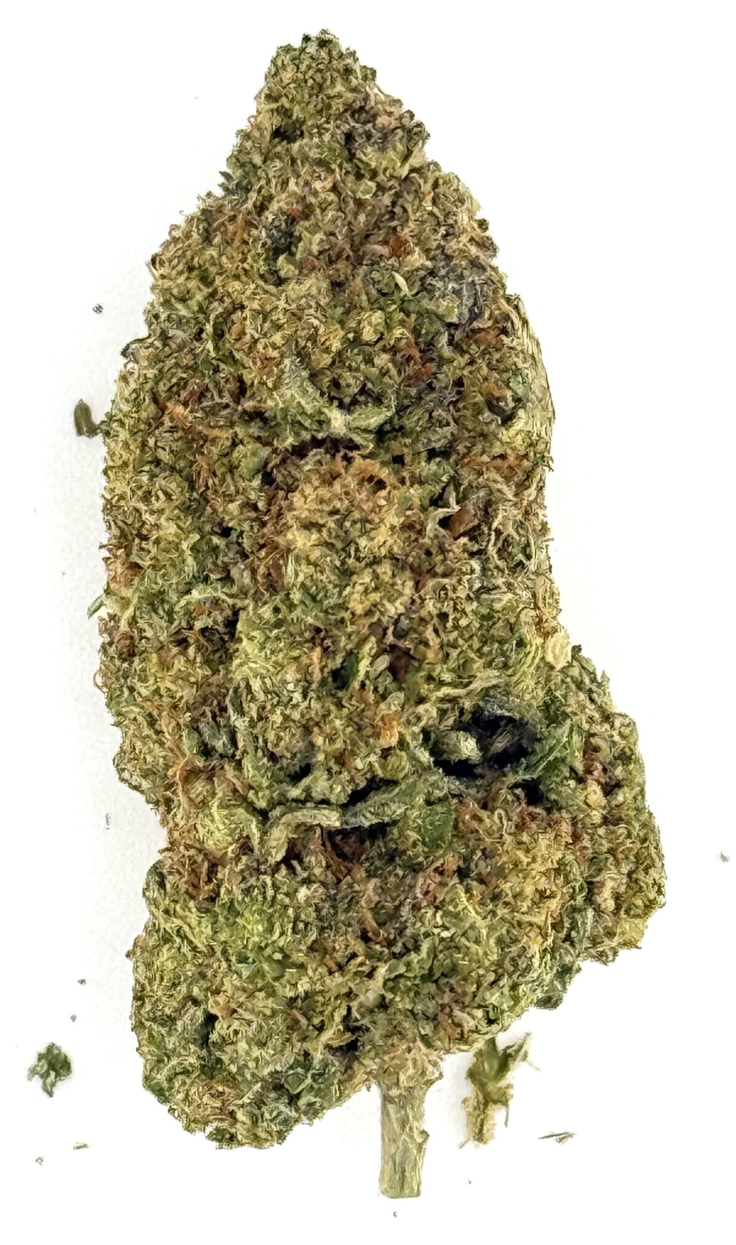 Ice Cream Cake 1 Close-up of a cannabis bud with detailed texture, showcasing its green and orange hues.