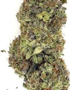 Gelato Queen (Ounce)