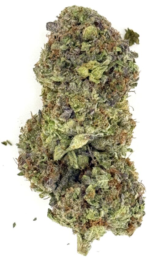 Gelato Queen (Ounce)