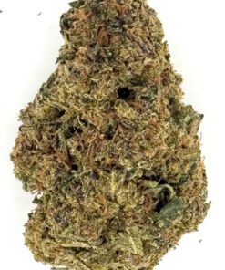 Close-up of a cannabis bud showcasing its detailed texture and coloration on a white background.