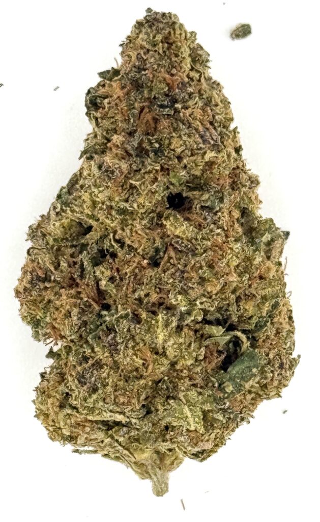 Close-up of a cannabis bud showcasing its detailed texture and coloration on a white background.