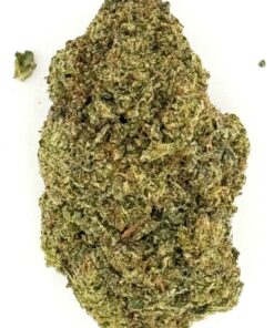 Vibrant green cannabis bud close-up, showcasing texture and detail on a clean white background.