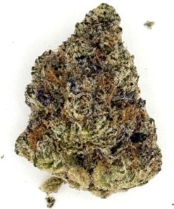 Close-up of a cannabis bud showing detailed texture and natural colors on a white background.