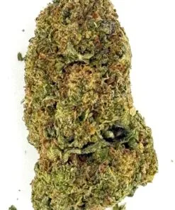 Close-up of a cannabis bud with detailed texture, showcasing its green and orange hues.
