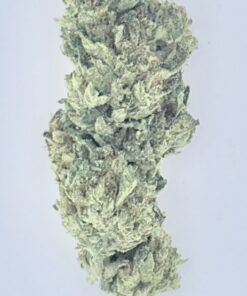 Grape Cake