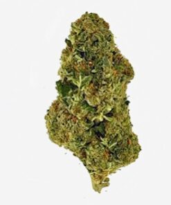 Guava Glue (Ounce)