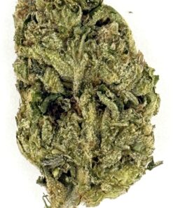 Venom (Ounce)