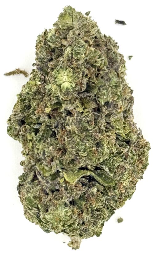 Guava