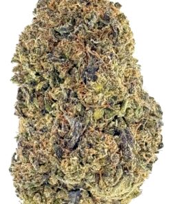 Lemon Cherry