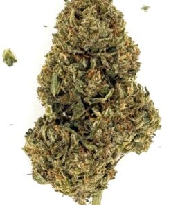 Lemon Cherry Gumbo (Ounce)