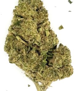 OZ Kush