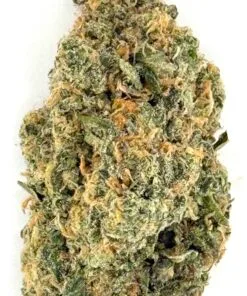 Close-up of a dried cannabis bud showcasing its frosty trichomes and lush green color on a white background.