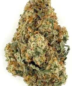 Close-up of a cannabis bud showcasing trichomes and leafy texture on a white background.