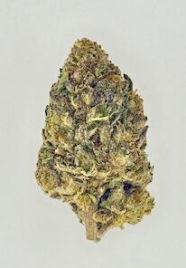 Space Queen (Ounce)