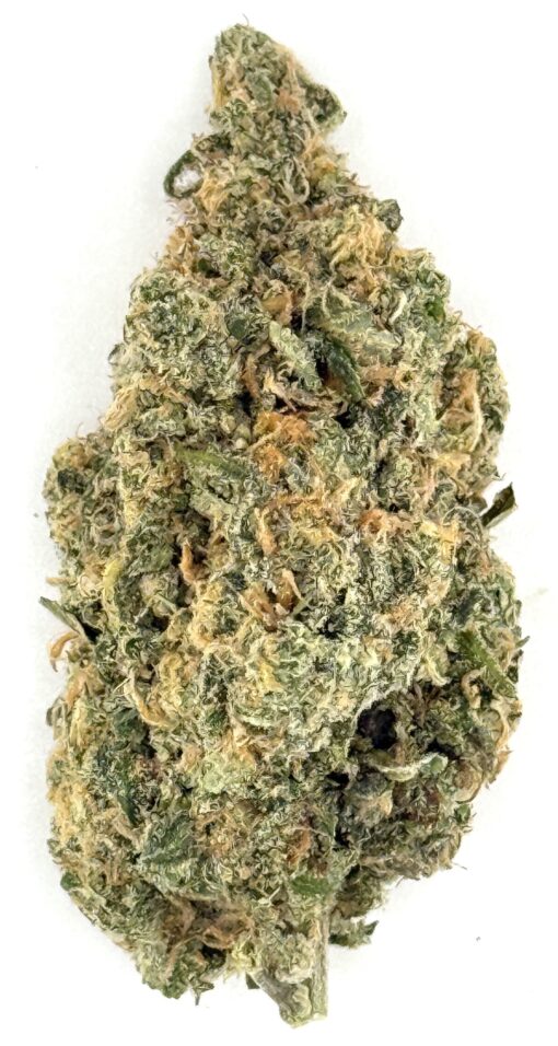 Close-up of a dried cannabis bud showcasing its frosty trichomes and lush green color on a white background.