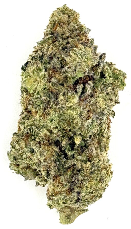Zoapscotti (Ounce)