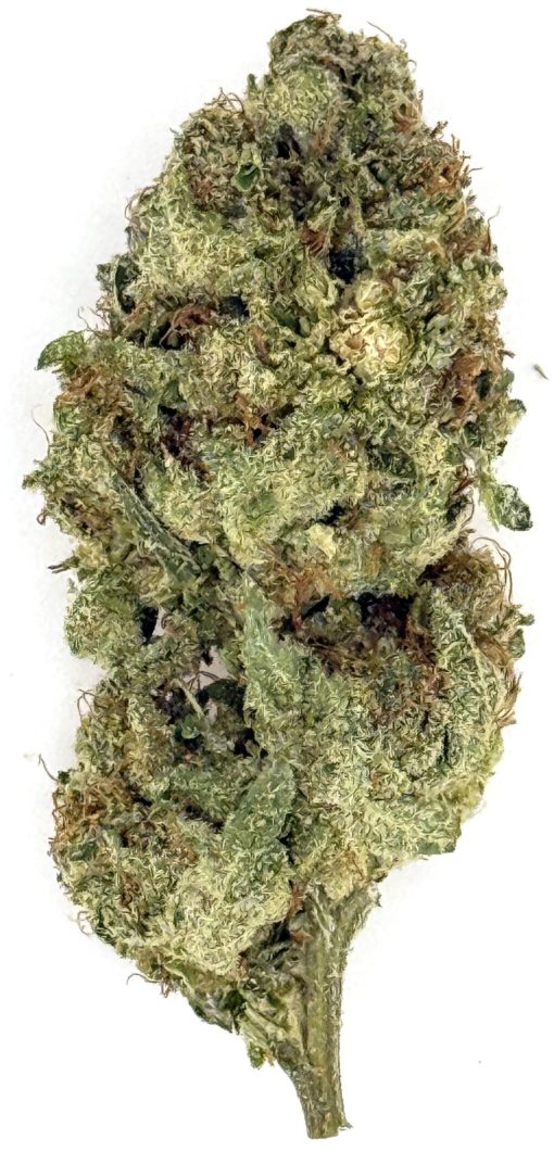 Wedding Cake 1 Wedding Cake