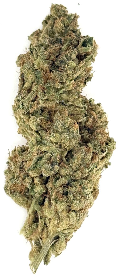 Blockhead 1 Blockhead