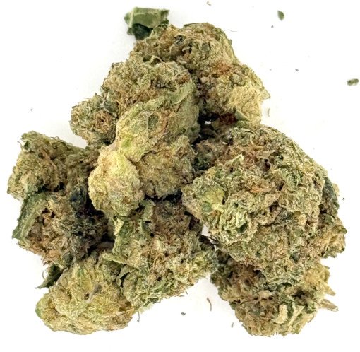 Gelato Cookies 1 Gelato Cookies