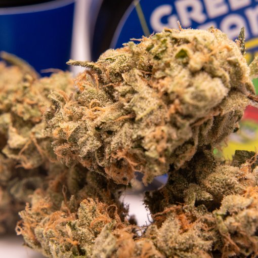 Rainbow Guava | Green Bean 1 Rainbow Guava | Green Bean