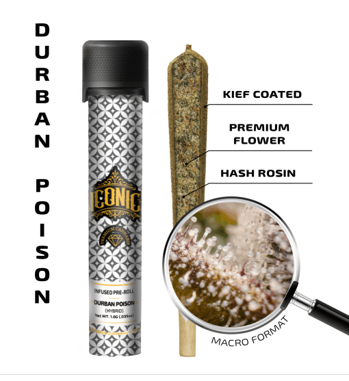 Durban Poison – 1G Infused Preroll | Iconic