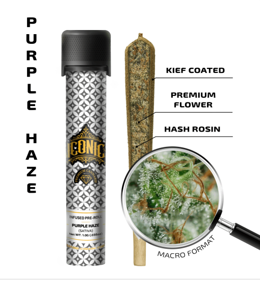 Purple Haze – 1G Infused Preroll | Iconic