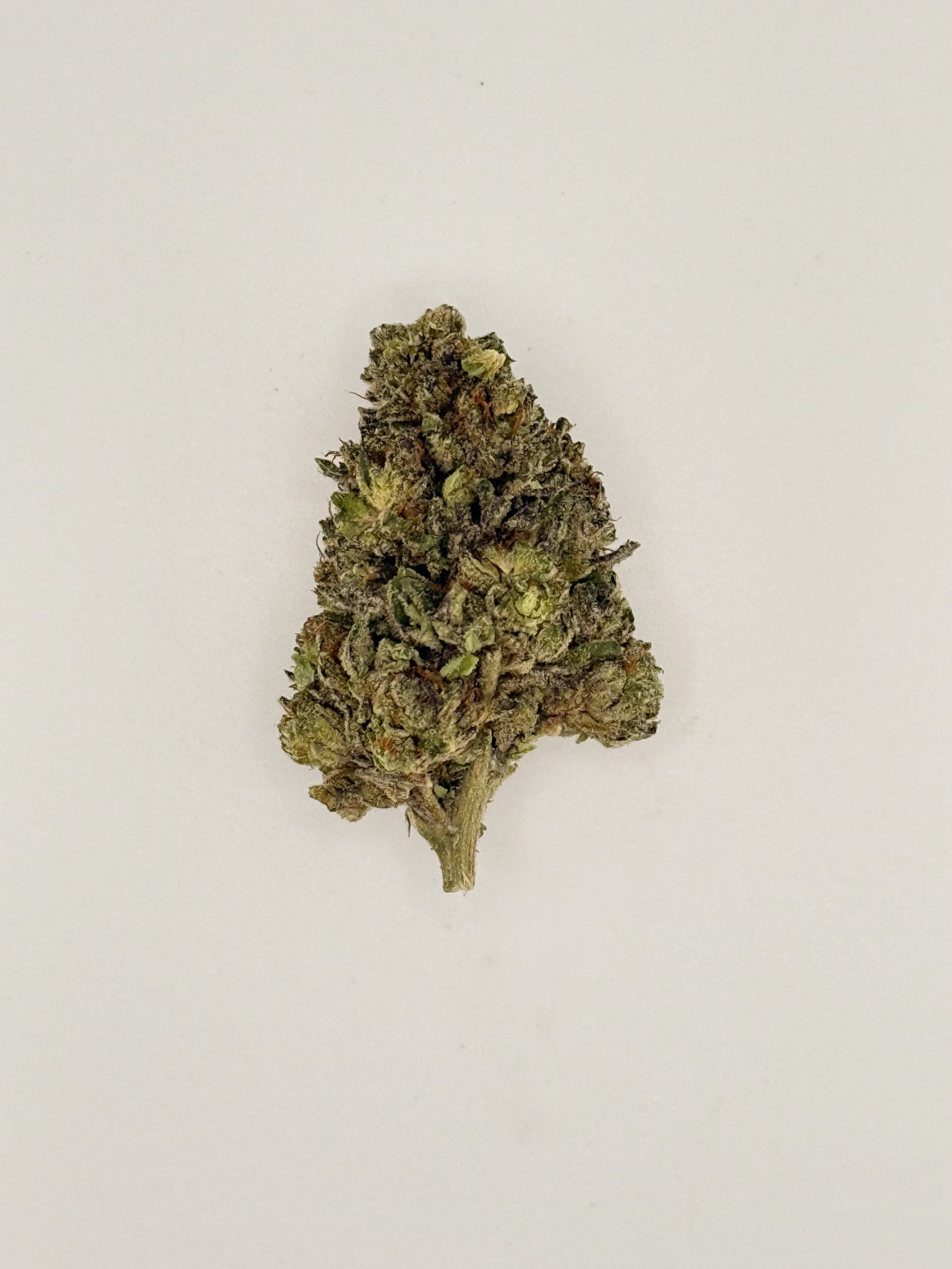 Grape Gorilla 1 Grape Gorilla