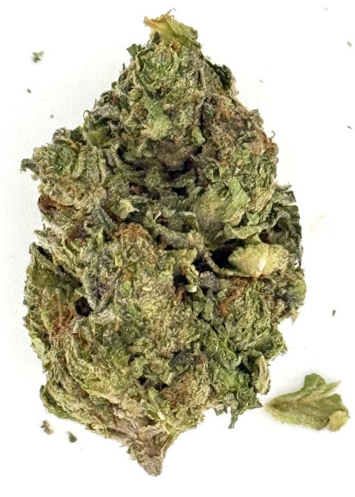 Cherry Dosidos 1 Cherry Dosidos