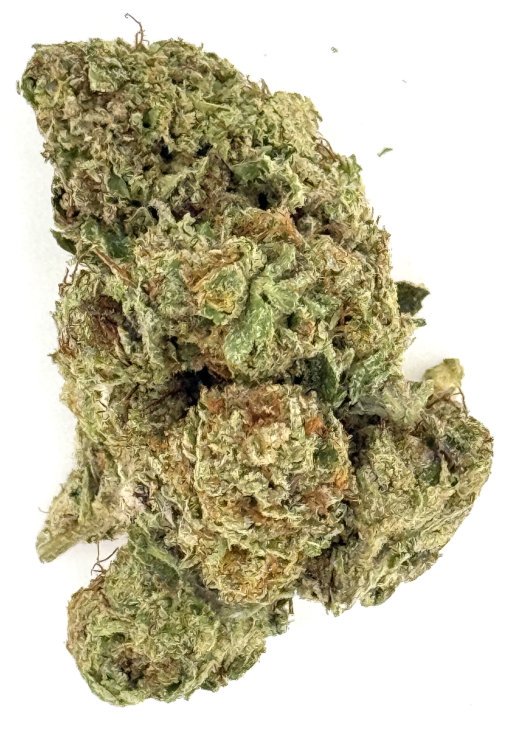 Gelato Kush 1 Gelato Kush